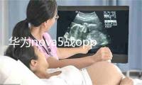 华为nova5战oppo reno辨别哪个好 两者对比评测劣错误谬误